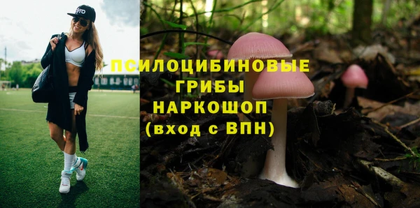 первитин Арсеньев