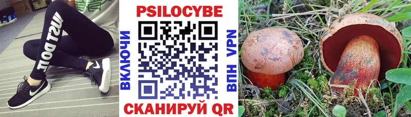 Псилоцибиновые грибы мицелий  Фрязино 